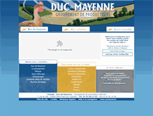 Tablet Screenshot of ducdemayenne.fr